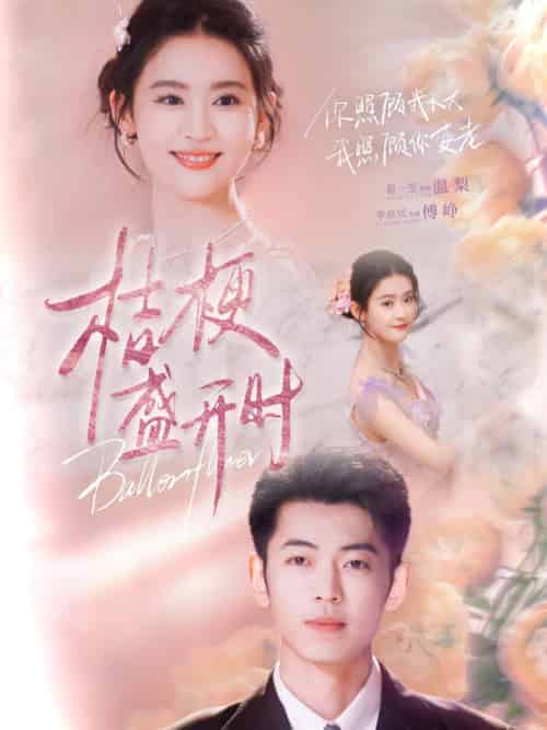 桔梗盛开时＆她的小桔梗（92集全）李泉成＆翟一莹 - 傲图好剧