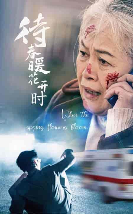 待春暖花开时（43集全） - 傲图好剧