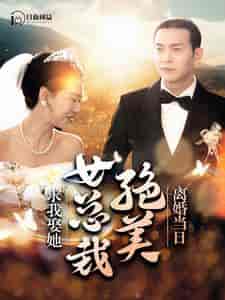 离婚当日,绝美女总裁求我娶她 离婚当日,绝美女总裁求我娶她