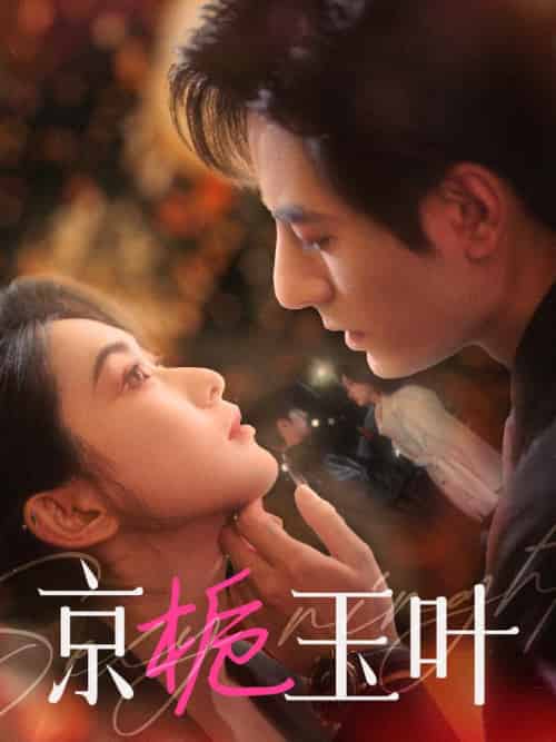 京栀玉叶（85集全）李豪＆崔十一 - 傲图好剧