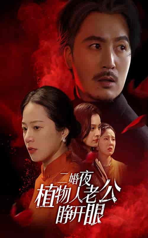 二婚夜植物人老公睁开眼（78集全） - 傲图好剧