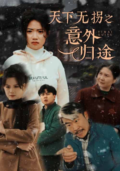 天下无拐之意外归途（61集全）王二麻＆刘若雪 - 傲图好剧