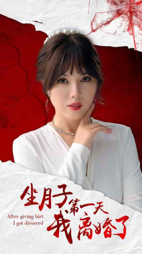 坐月子第一天我离婚了（30集全） - 傲图好剧