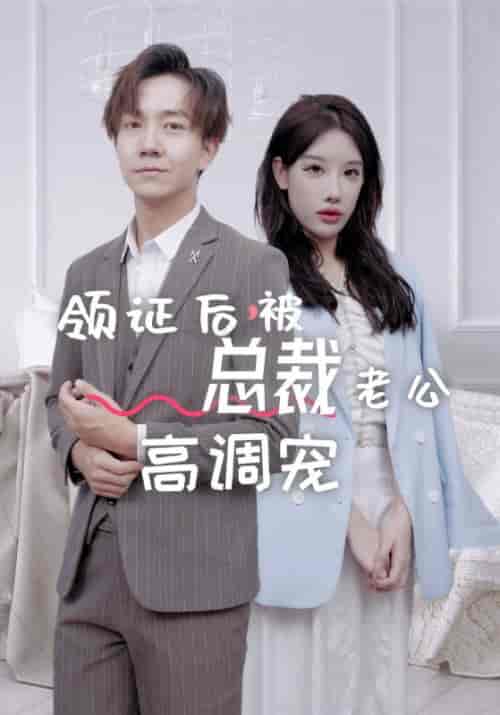 领证后，被总裁老公高调宠（79集全）容凛＆蒋菡冰 - 傲图好剧