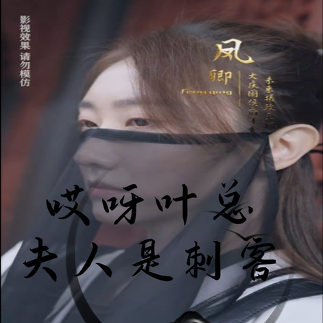 哎呀叶总夫人是刺客 哎呀叶总夫人是刺客