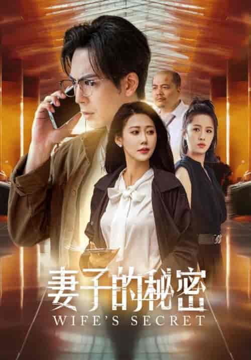 妻子的秘密（38集）杨鹏＆李梦蕾 - 傲图好剧