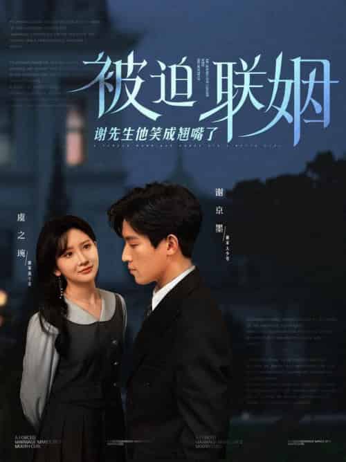 被迫联姻谢先生他笑成翘嘴了（100集全）肖茜文 - 傲图好剧
