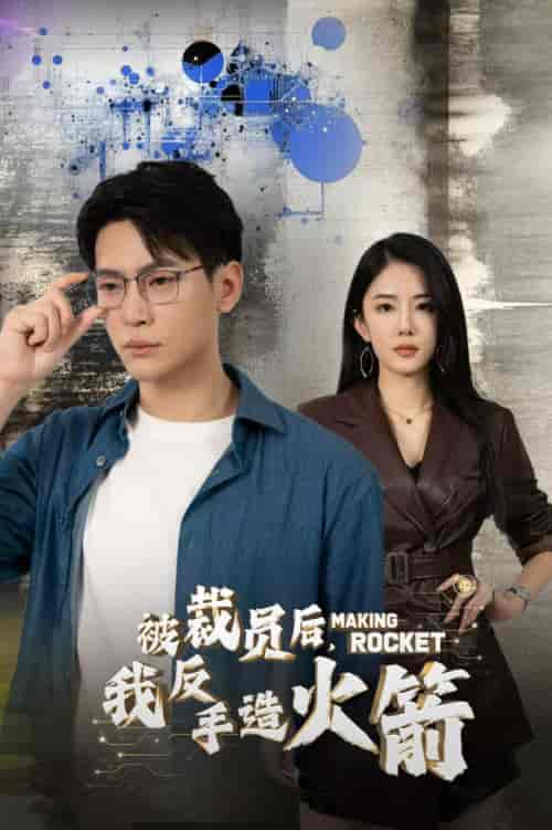 被裁员后，我反手造火箭（30集全） - 傲图好剧