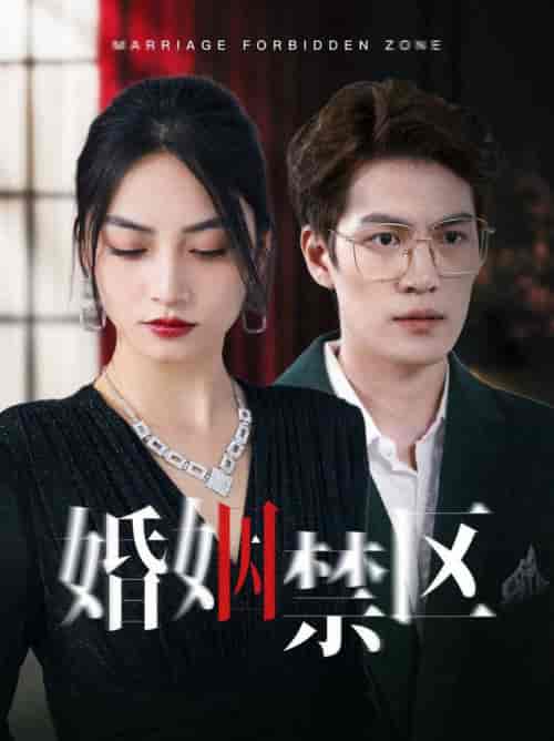 婚姻禁区（60集全） - 傲图好剧