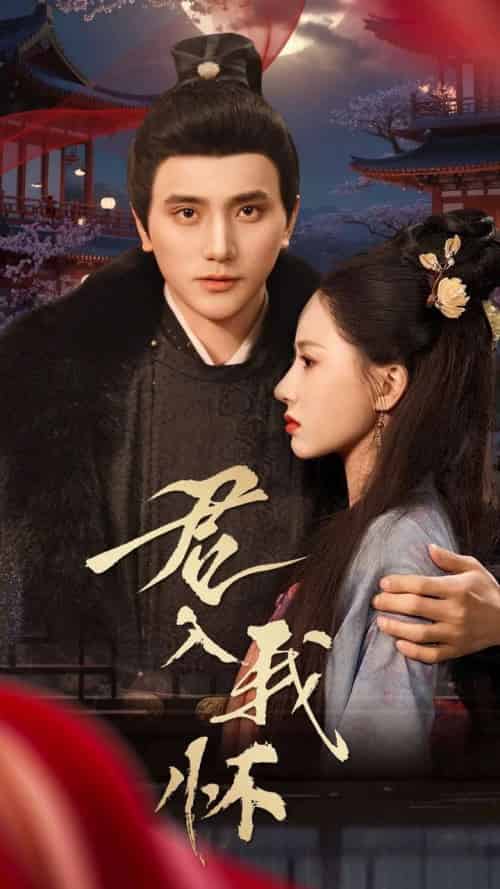君入我怀（60集全） - 傲图好剧