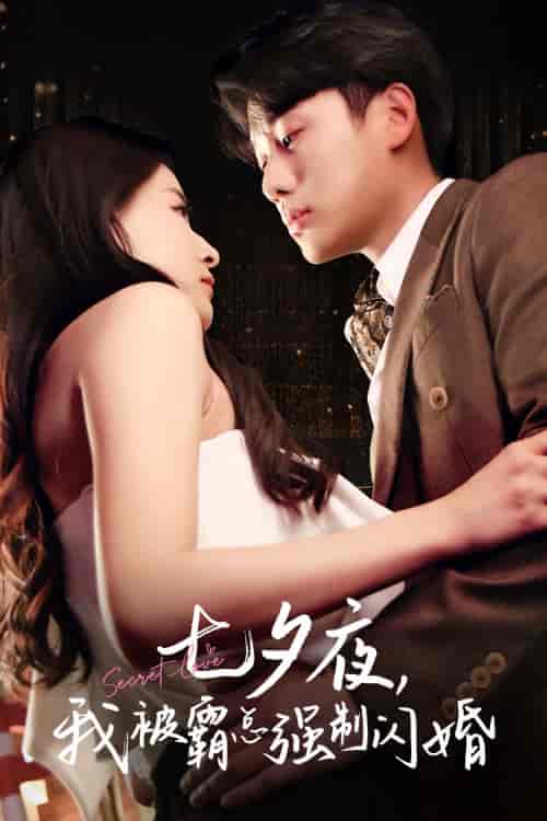 七夕夜我被霸总强制闪婚 七夕夜我被霸总强制闪婚