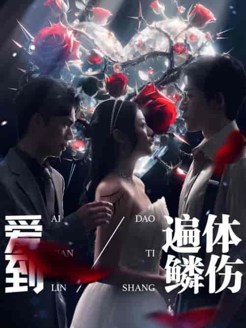 爱到遍体鳞伤（84集） - 傲图好剧