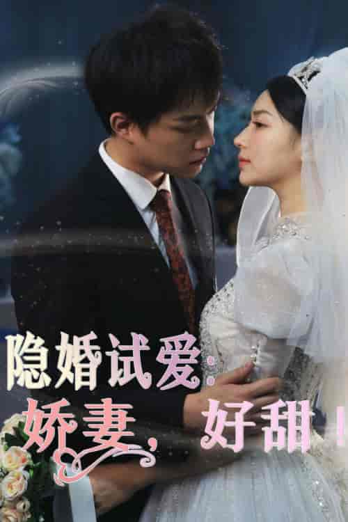 隐婚试爱:娇妻,好甜! 隐婚试爱:娇妻,好甜!
