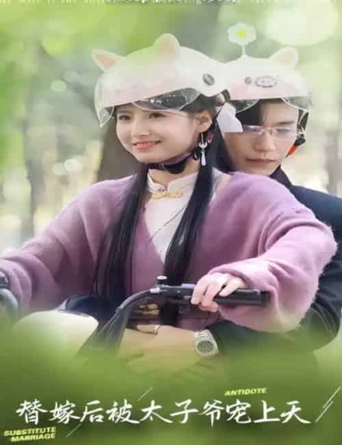 替嫁后被太子爷宠上天 替嫁后被太子爷宠上天