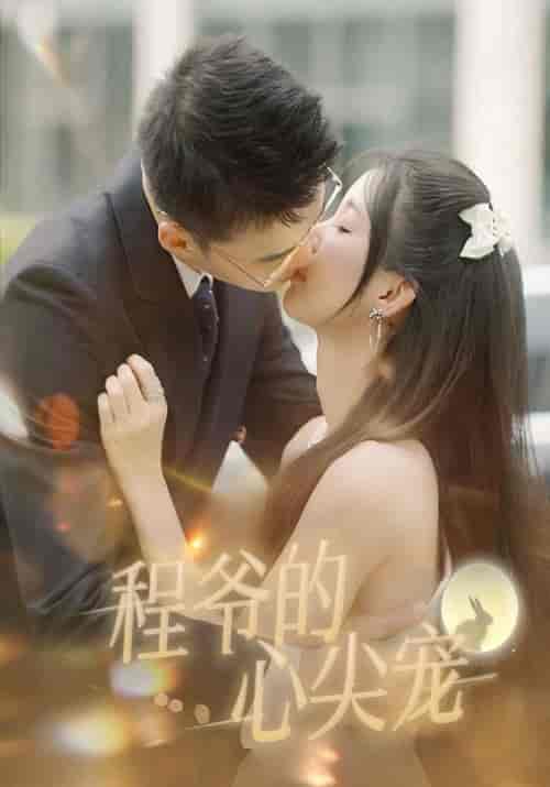 程爷的心尖宠（40集全）程君昊＆左柒柒 - 傲图好剧