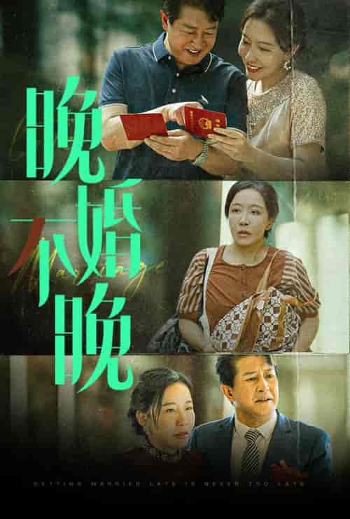 晚婚不晚（30集全） - 傲图好剧