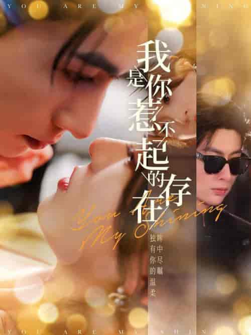 我是你惹不起的存在（101集全）王子林＆郑晨雨 - 傲图好剧