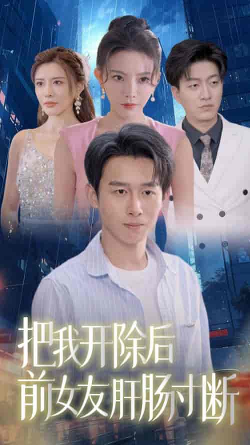 把我开除后前女友肝肠寸断（80集全）严浩 - 傲图好剧