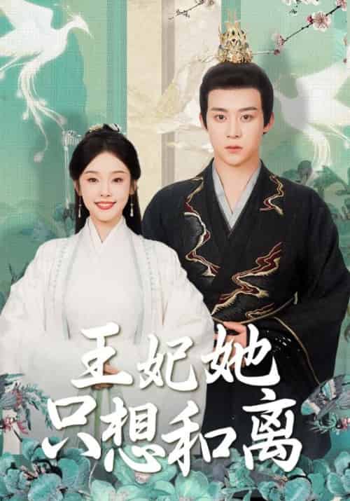 王妃她只想和离（91集全）东方璃＆秦星月 - 傲图好剧