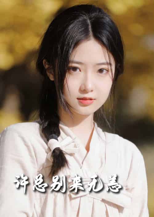 许总别来无恙（50集全）邢航铭 - 傲图好剧
