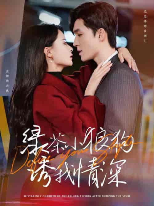 绿茶小狼狗诱我情深（101集全）梁思伟＆孟娜 - 傲图好剧