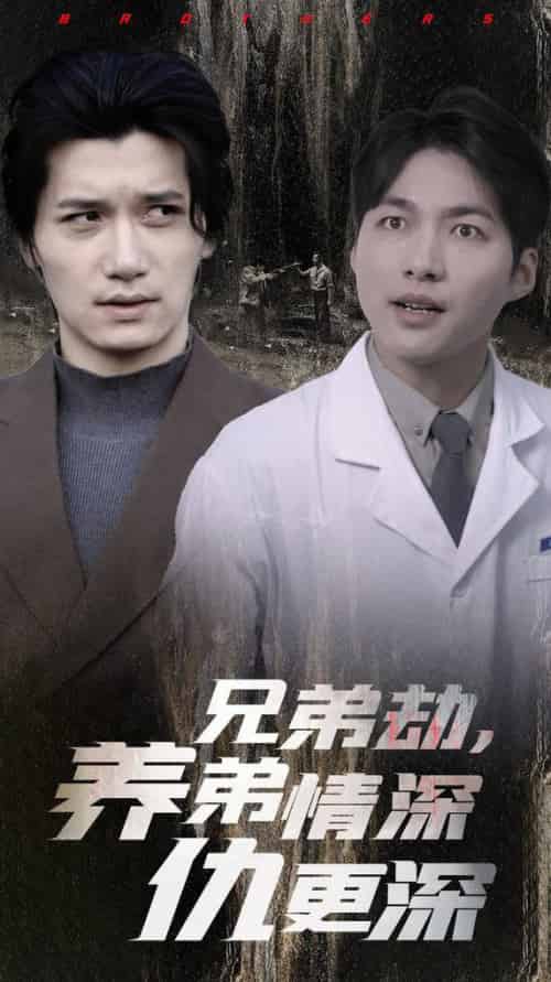 兄弟劫养弟情深仇更深（28集全） - 傲图好剧