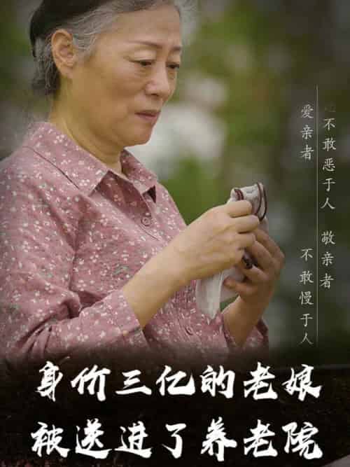 身价三亿的老娘被送进了养老院（30集全） - 傲图好剧