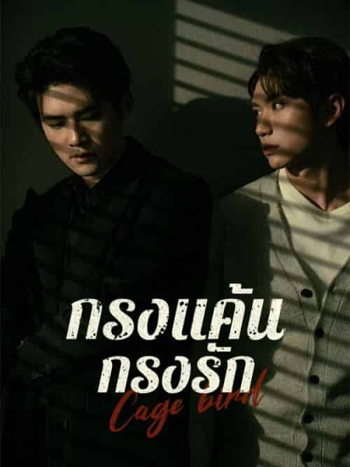 กรงแค้น กรงรัก（45集全）＆ปราณันต์＆ศิรวัชร＆＆＆ธัชกร＆วิสุทธิ์ไพศาล - 傲图好剧