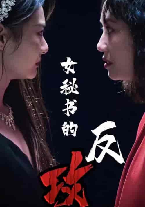 女秘书的反攻（76集全） - 傲图好剧