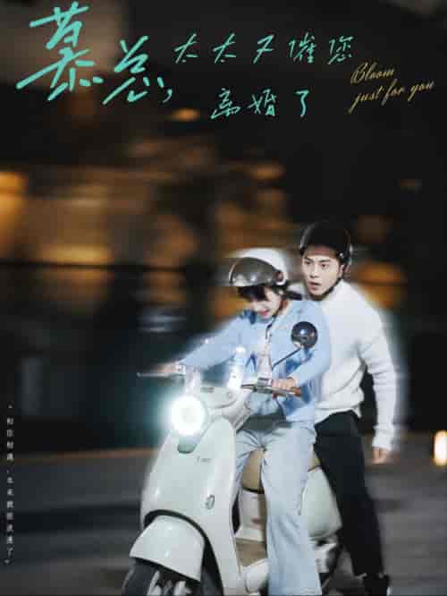 慕总太太又催您离婚了（80集全）李可乐＆象韵洁 - 傲图好剧