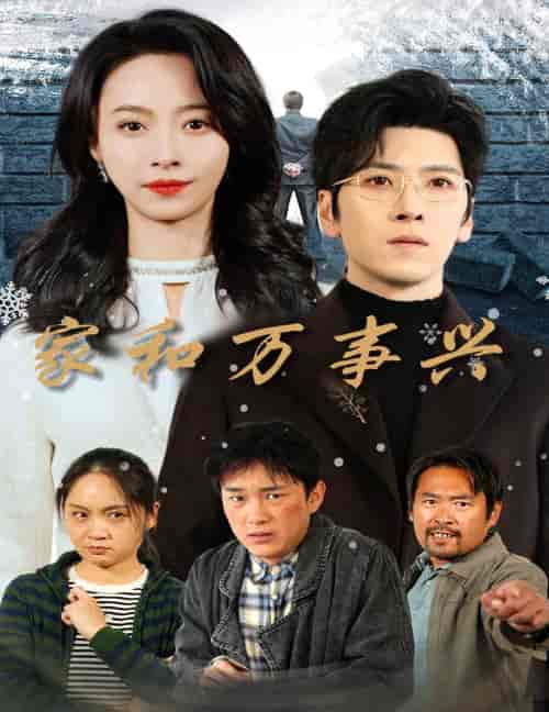 家和万事兴（30集全） - 傲图好剧