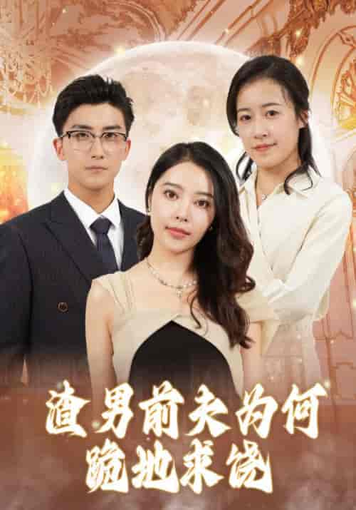 渣男前夫为何跪地求饶（30集全）陆成江＆林染 - 傲图好剧