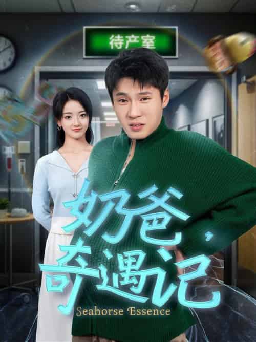 奶爸奇遇记（60集全）刘宇航 - 傲图好剧
