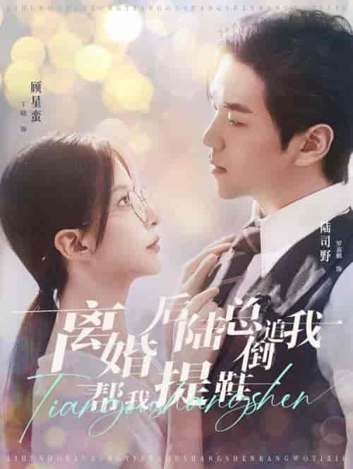 离婚后陆总倒追我帮我提鞋（100集全）罗嘉麒＆丁晓 - 傲图好剧