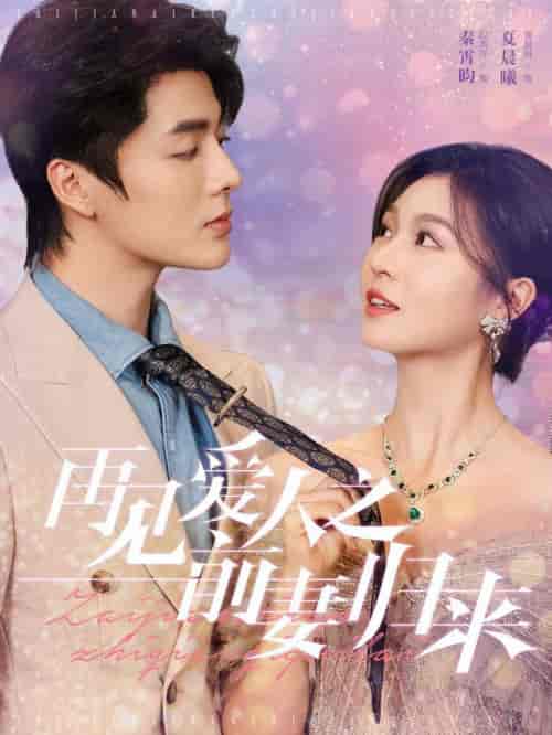 再见爱人之前妻归来（75集全）段美洋＆郑晨雨 - 傲图好剧