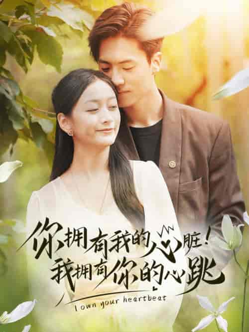 你拥有我的心脏！我拥有你的心跳（78集全） - 傲图好剧