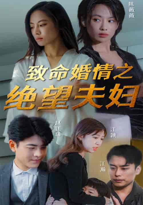 致命婚情之绝望夫妇（99集全）赵廷琛＆陈薇薇 - 傲图好剧