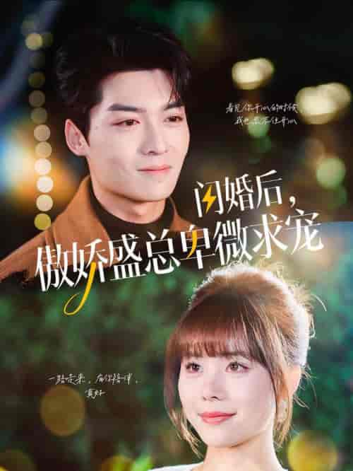 闪婚后傲娇盛总卑微求宠（100集全）方正男＆温叙 - 傲图好剧