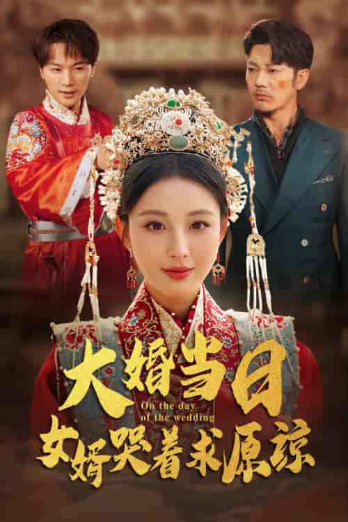 大婚当日，女婿哭着求原谅（31集全） - 傲图好剧
