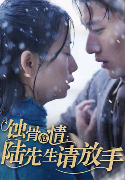 蚀骨危情：陆先生请放手（80集全）陆薄川＆江年 - 傲图好剧