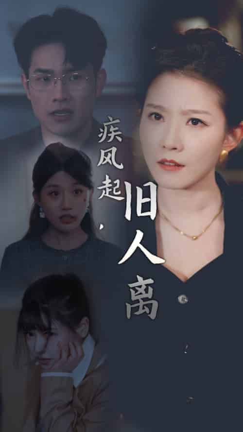 疾风起旧人离（32集全） - 傲图好剧