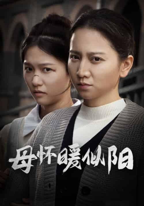 母怀暖似阳（63集全）孙晓晨＆苏芬 - 傲图好剧