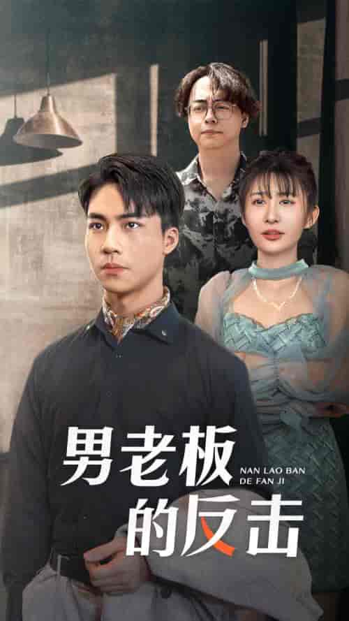 男老板的反击（18集） - 傲图好剧