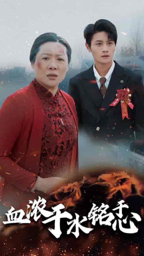 血浓于水铭于心（30集全） - 傲图好剧