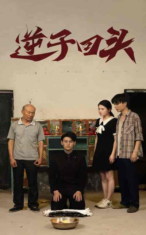 逆子回头（33集） - 傲图好剧