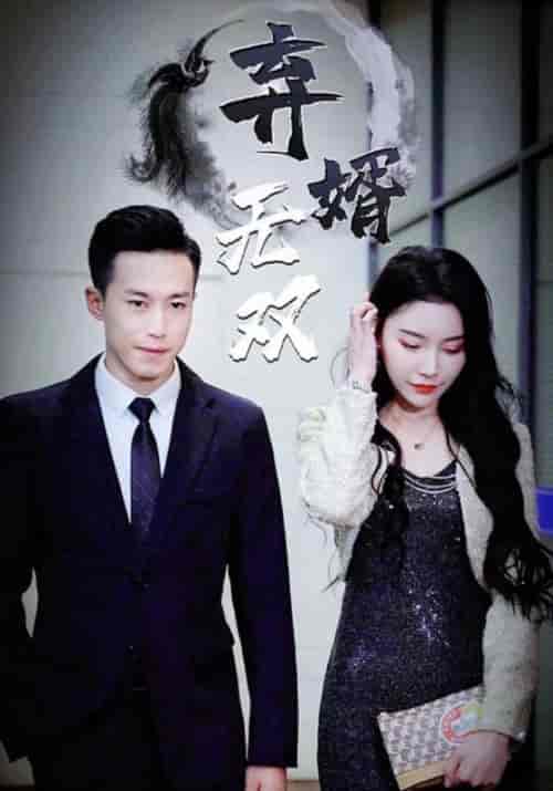 弃婿无双（95集全）楚枫＆上官婉儿 - 傲图好剧