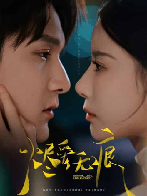 烬爱无痕（92集全）栗子千＆张珊 - 傲图好剧