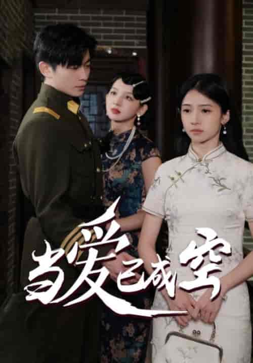 当爱已成空（58集全） - 傲图好剧