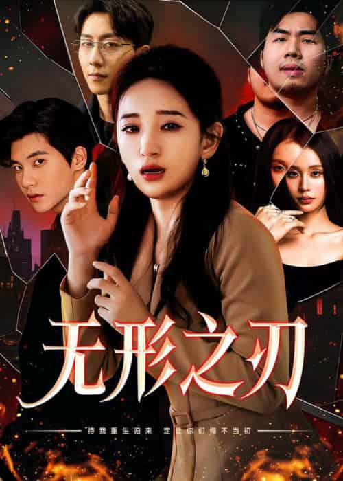无形之刃（37集全）李雪莹 - 傲图好剧