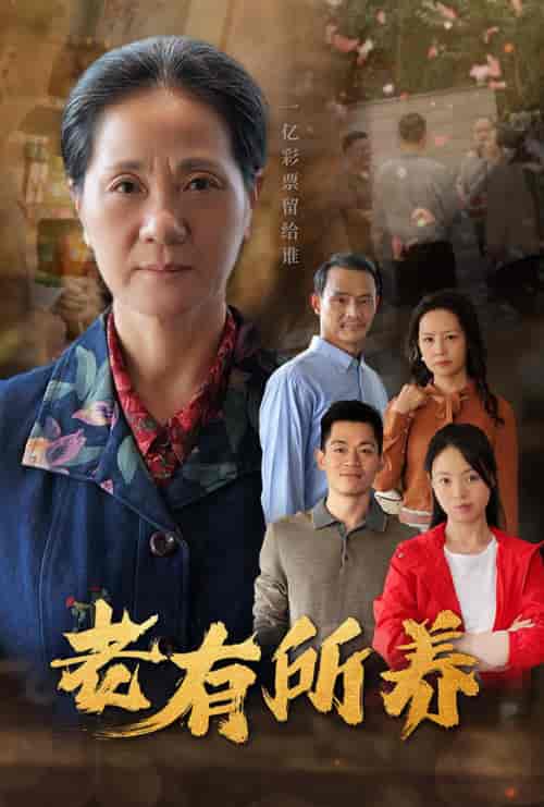 老有所养（35集全） - 傲图好剧